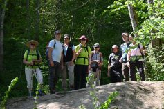 10. Mai 2025 - 2-Tageswanderung