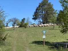 11. Mai 2025 - 2-Tageswanderung