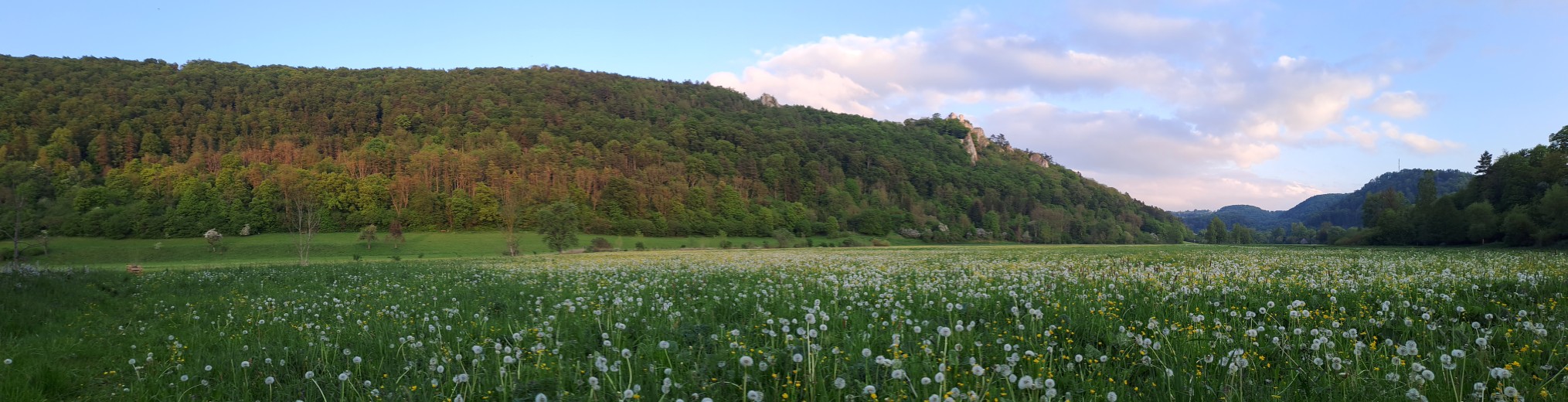 Schwäbischer Albverein | Ortsgruppe Blaubeuren